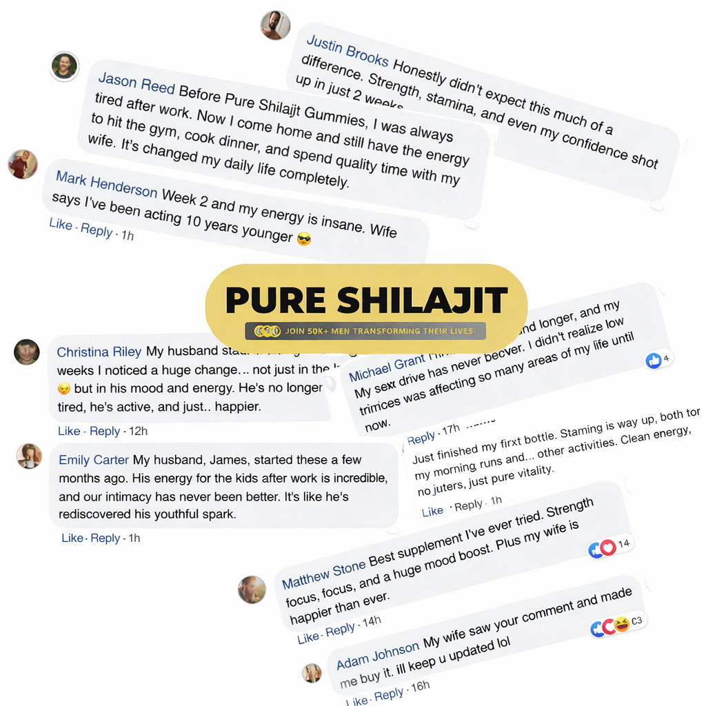 Pure Himalayan Shilajit Gummies
